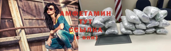 соль ск Ветлуга
