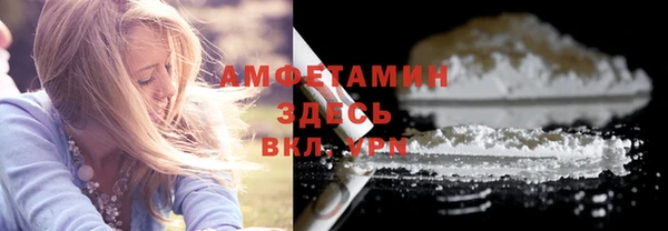 соль ск Ветлуга