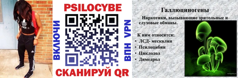 цены   Зеленоградск  блэк спрут ТОР  darknet как зайти  Галлюциногенные грибы Psilocybe 