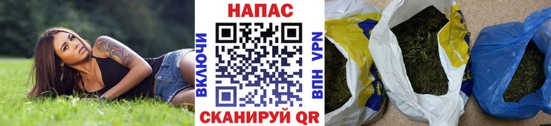 OMG как зайти  Зеленоградск  Бошки Шишки OG Kush 